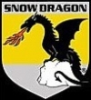SNOW DRAGON LLC