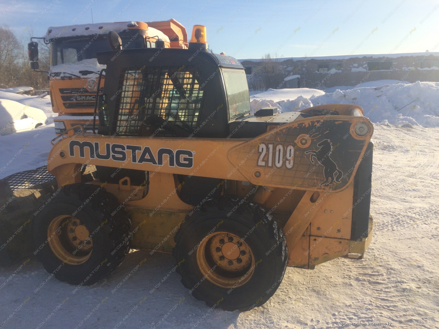 Mustang 2109 [0]