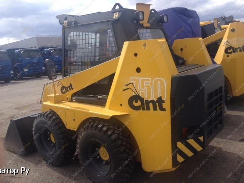 Ant 750 [1]