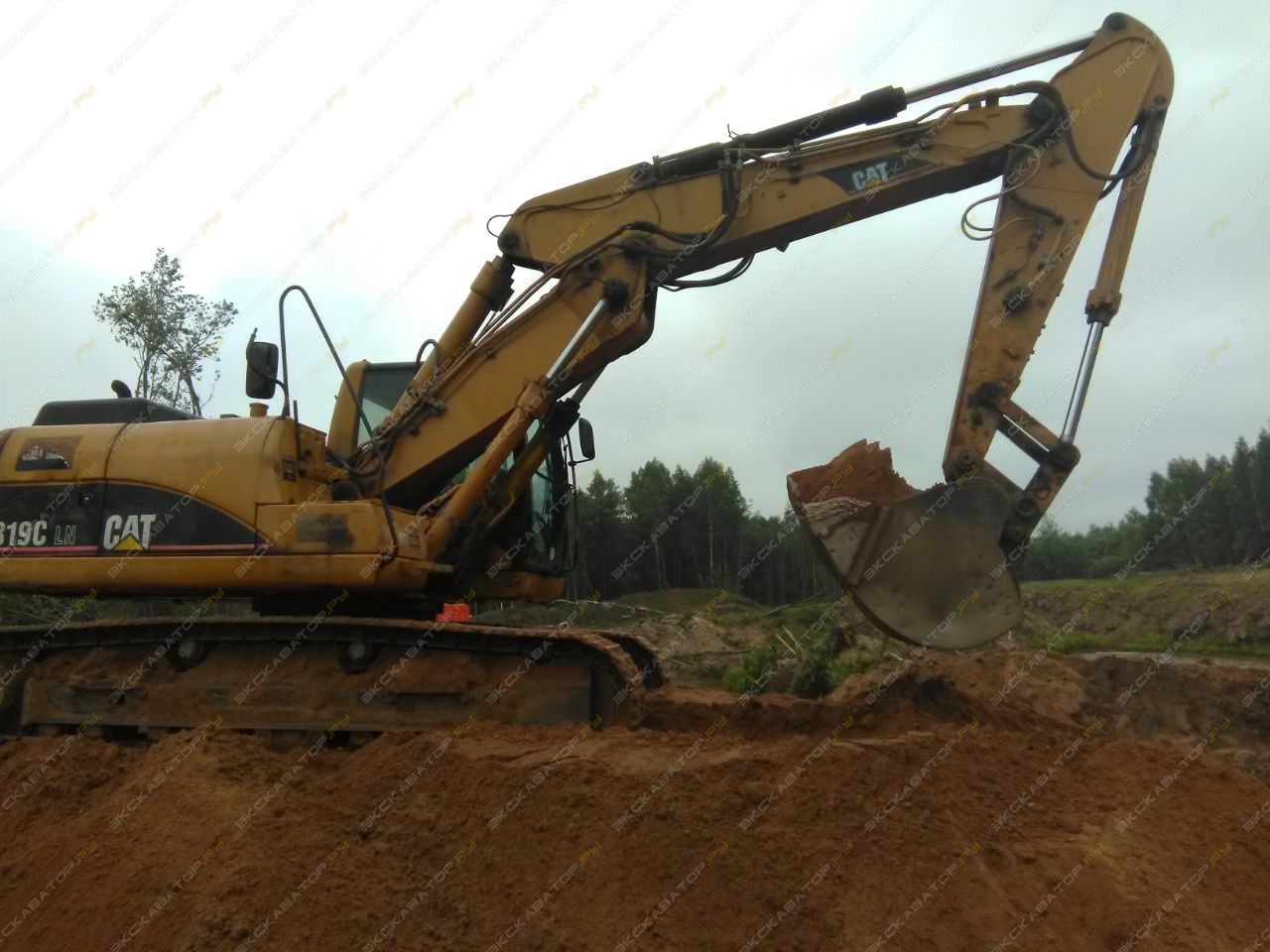 Caterpillar 319C LN [1]