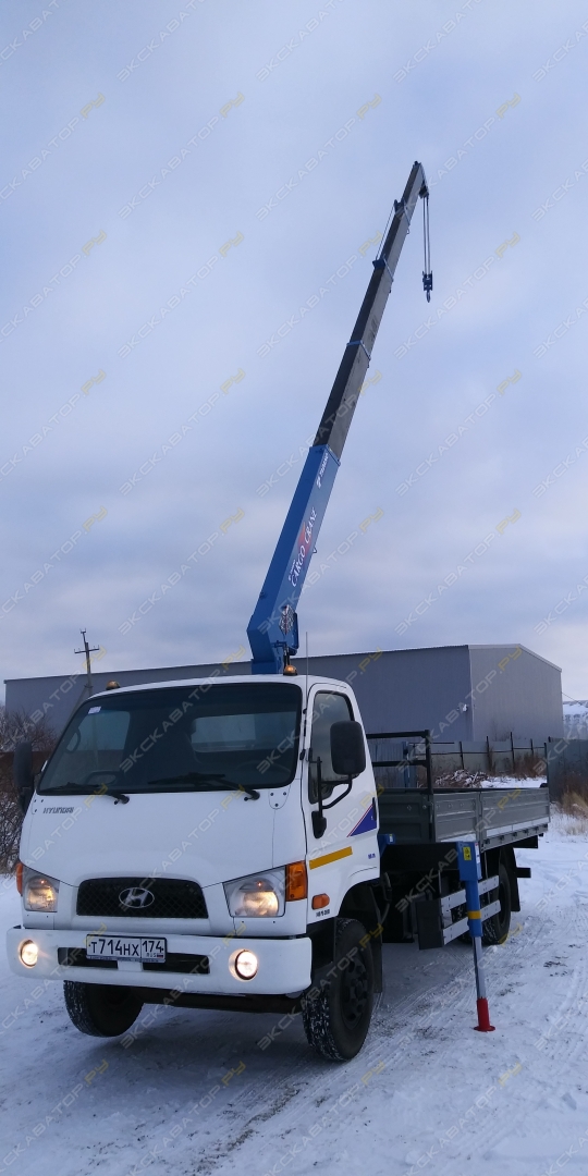 Tadano TM-ZR295 [11]