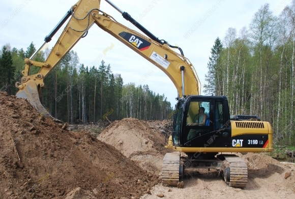 Caterpillar 319D LN [0]