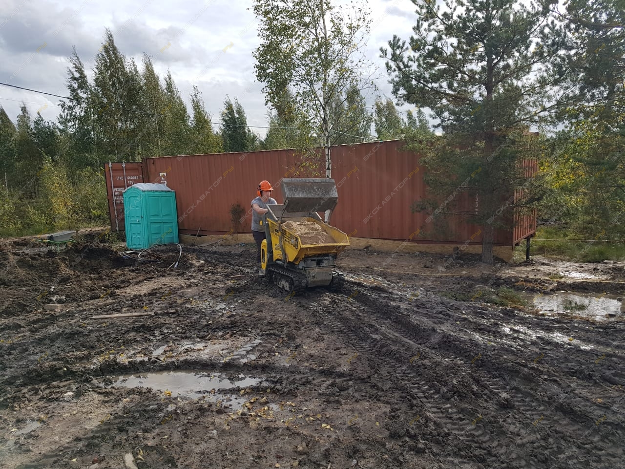 Wacker Neuson DT08 [1]