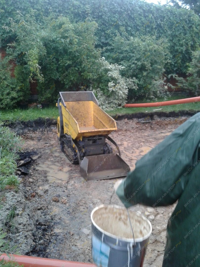 Wacker Neuson DT08 [3]