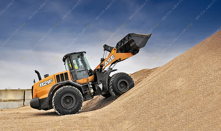 Case 821F [2]