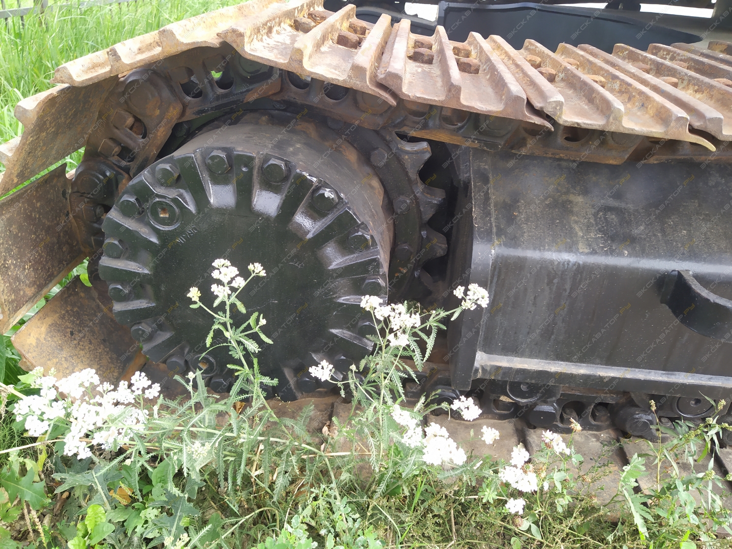 Caterpillar 320D L [11]
