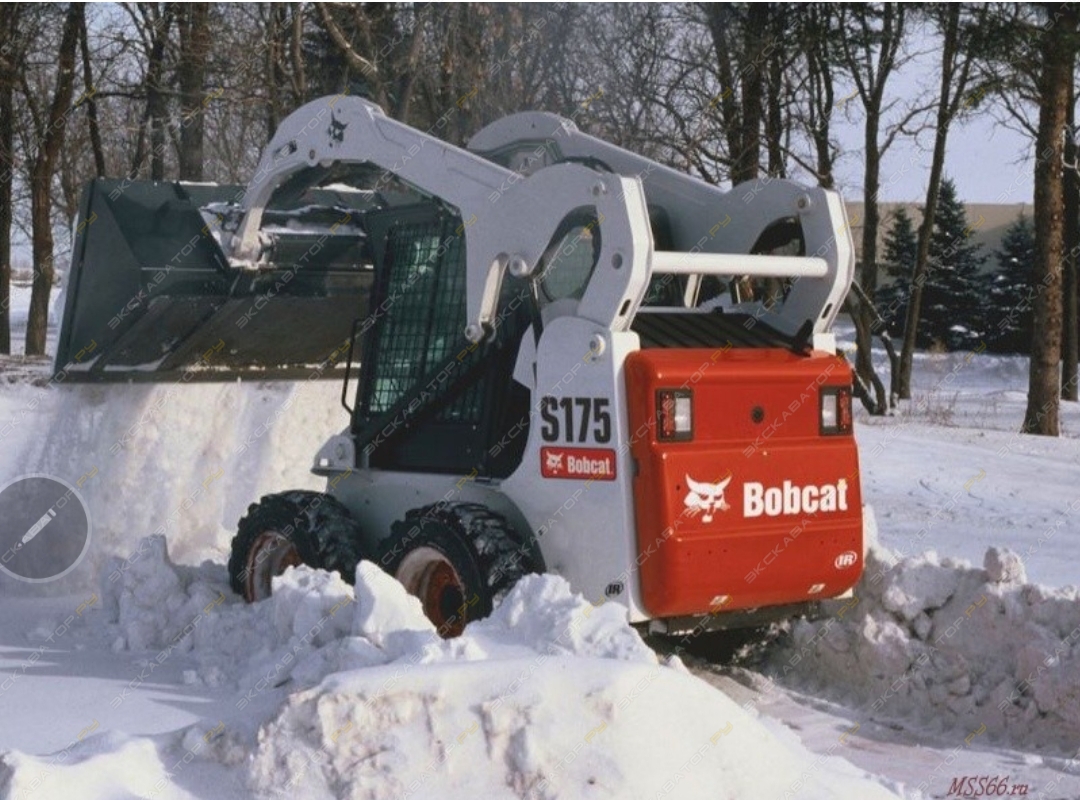 Bobcat S175 [1]