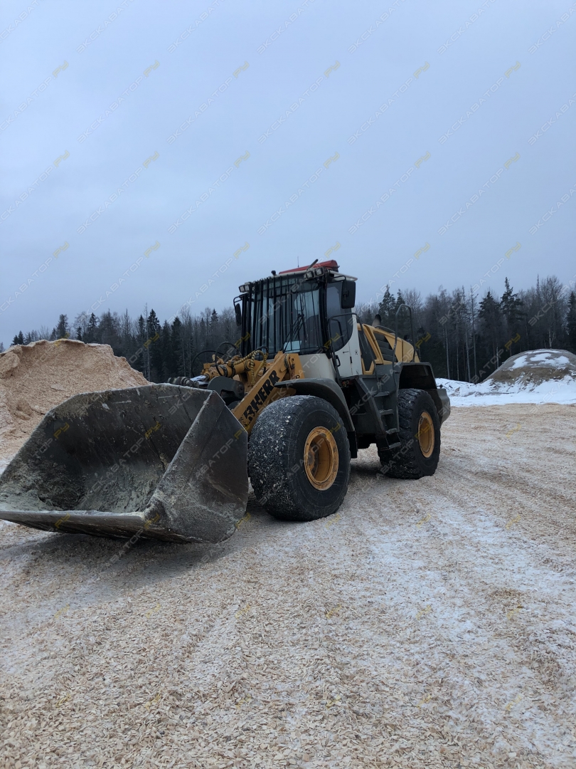 Liebherr L 556 2plus2 [1]