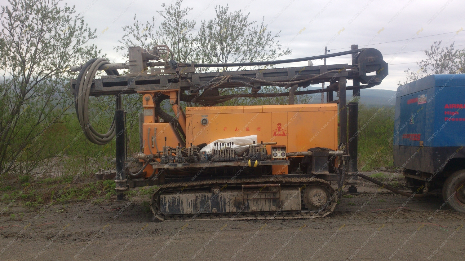 KW-20 [1]