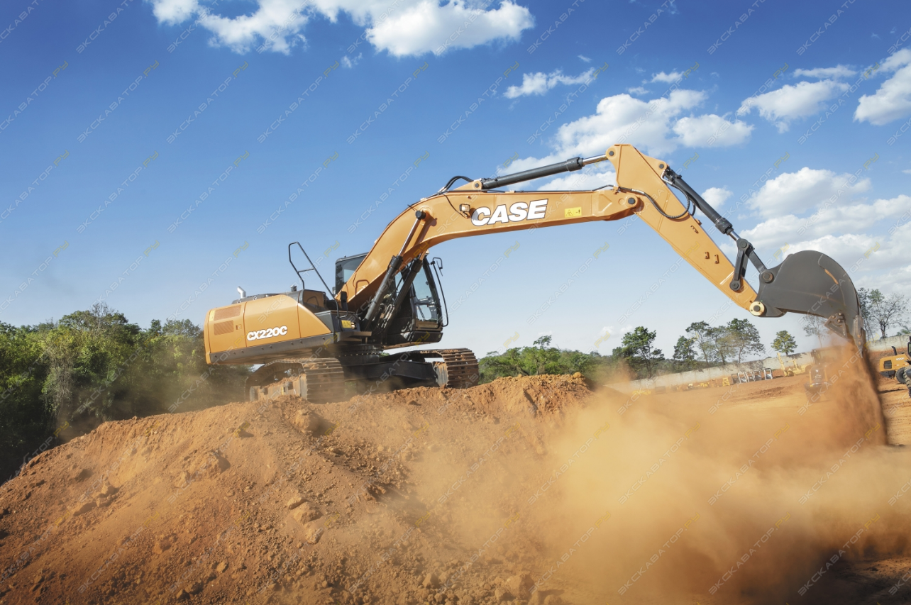 Case CX220C NLC [6]