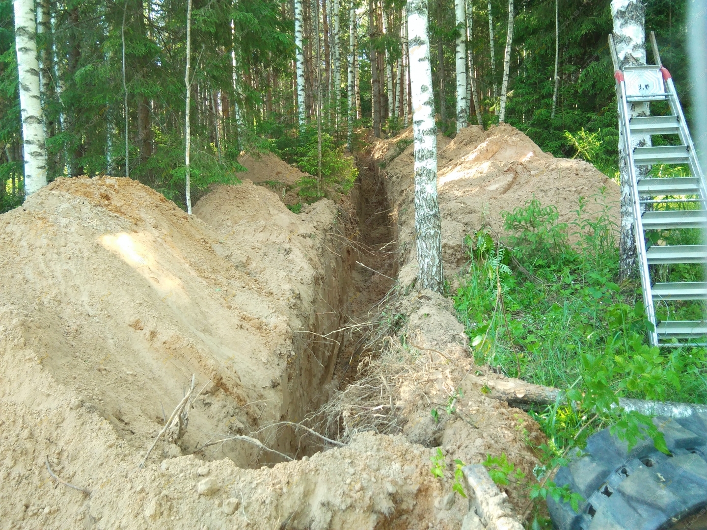 Kubota RX502 [3]