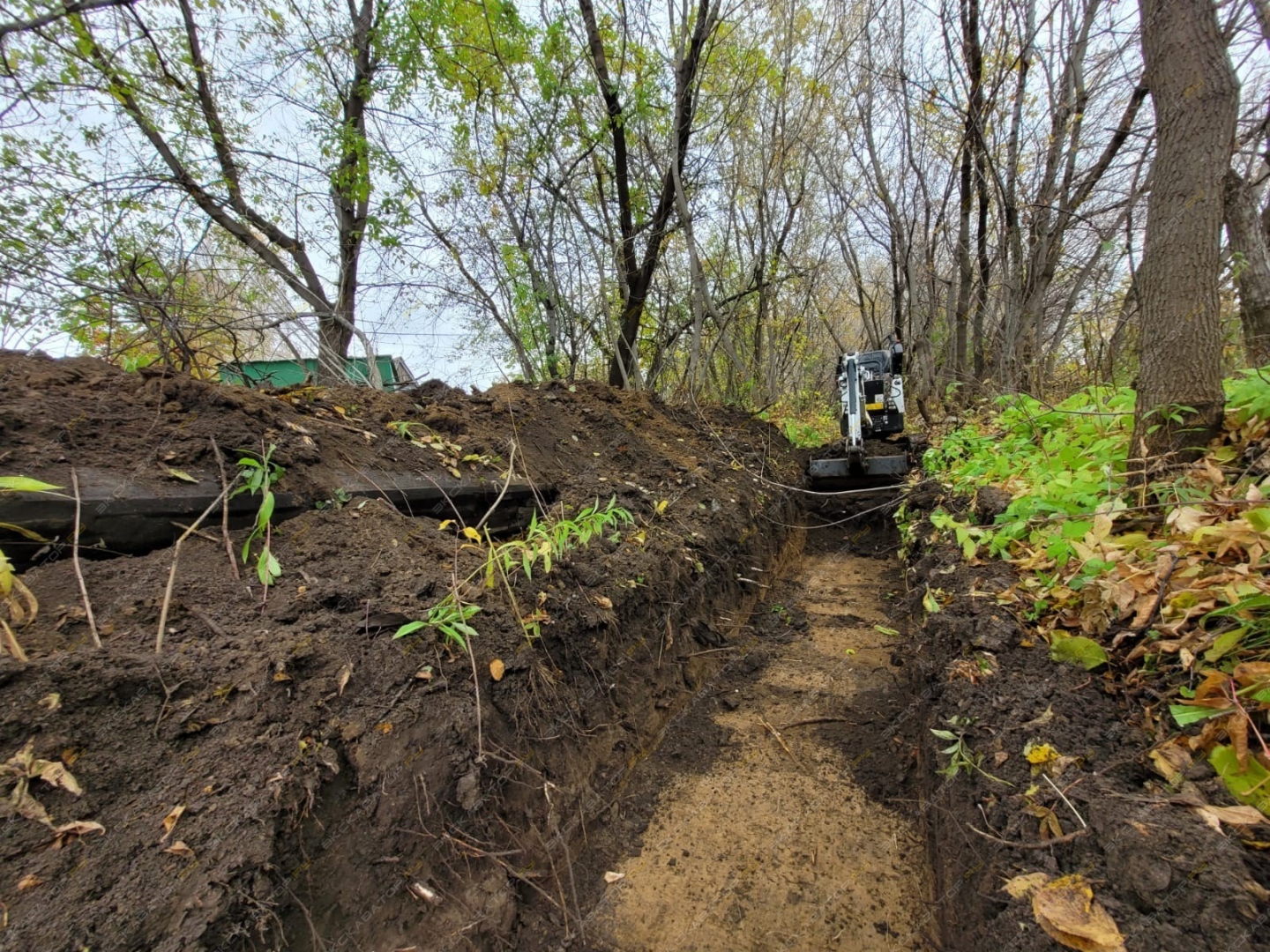 Bobcat E10 [1]