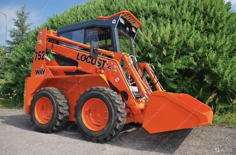 Locust L752 [0]