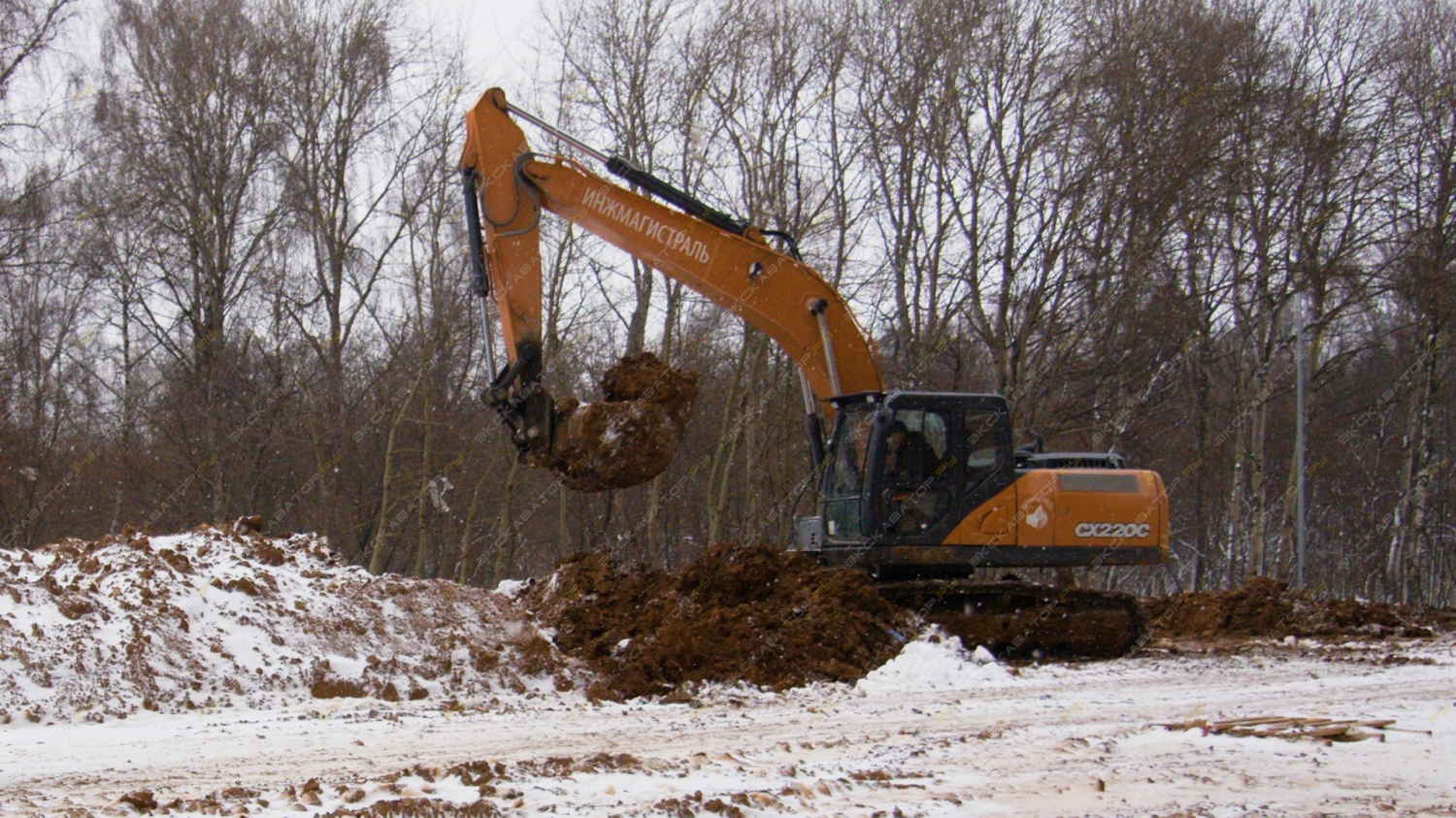Case CX220C NLC [1]