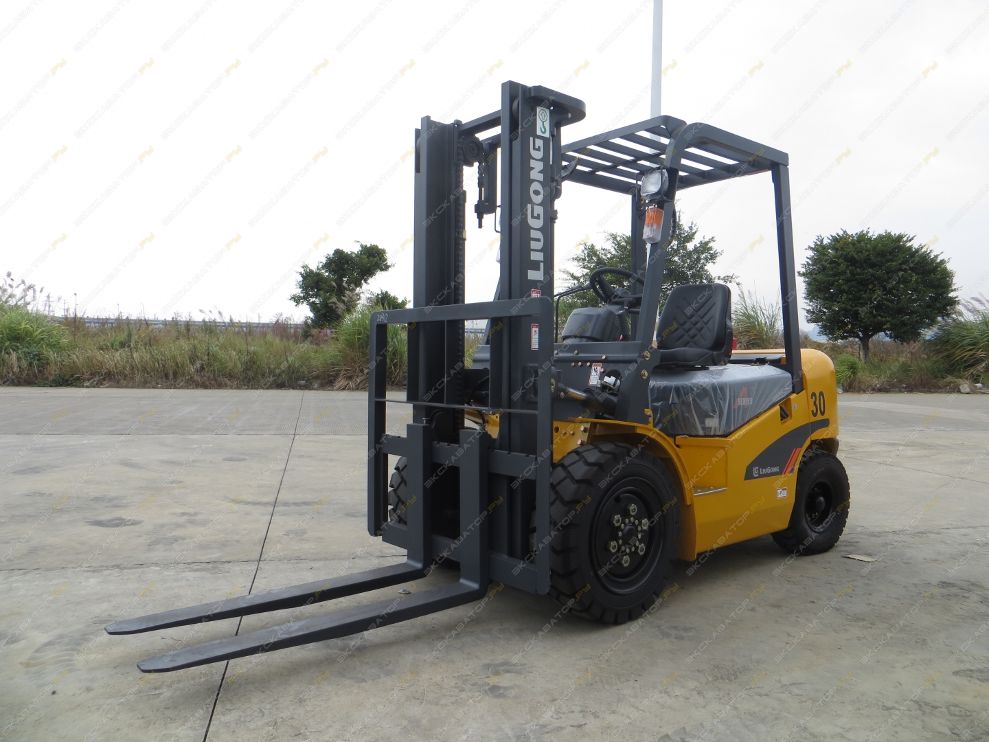 Liugong CPCD30 [5]