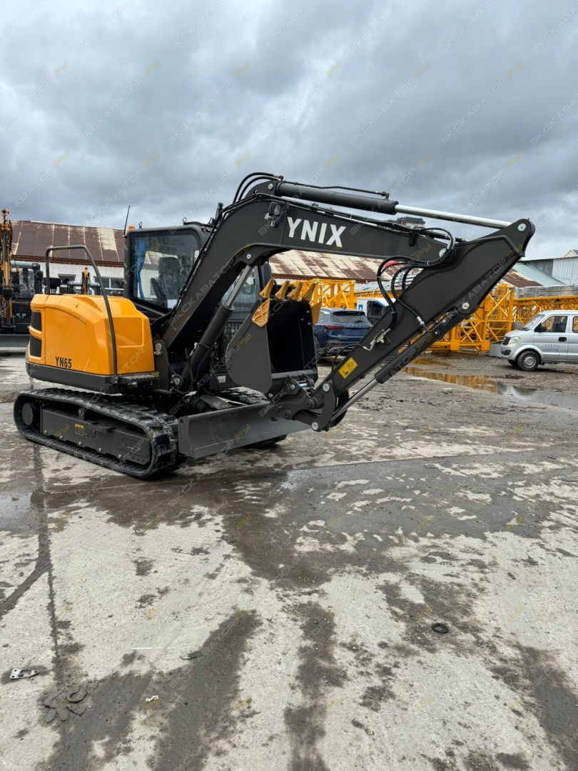 YN65 [2]