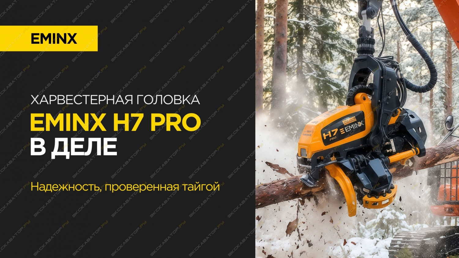 Eminx H7 Pro [0]
