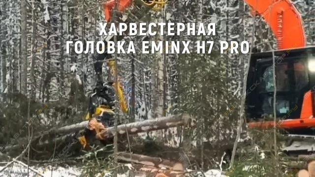 Eminx H7 Pro [13]