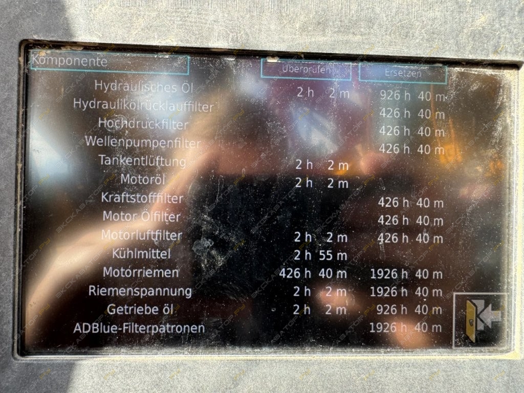 Komplet Krokodile [17]
