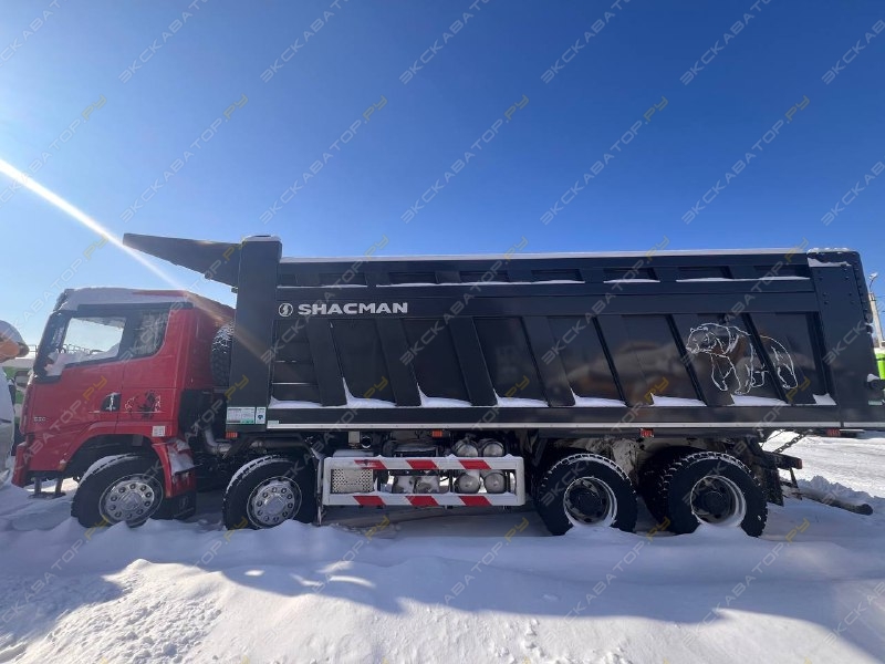 Shacman SX331863366 [3]