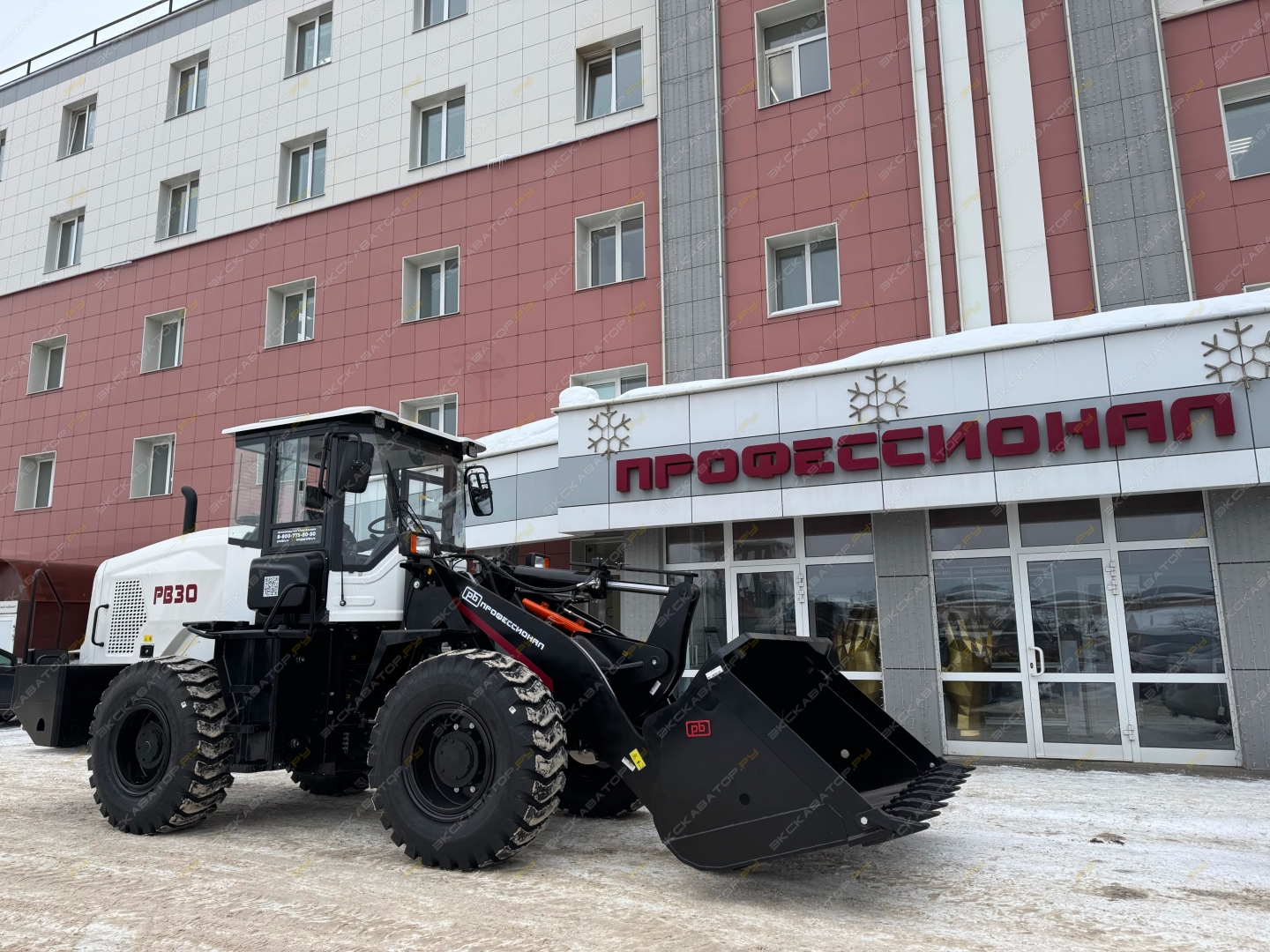 Профессионал РВ30 [10]
