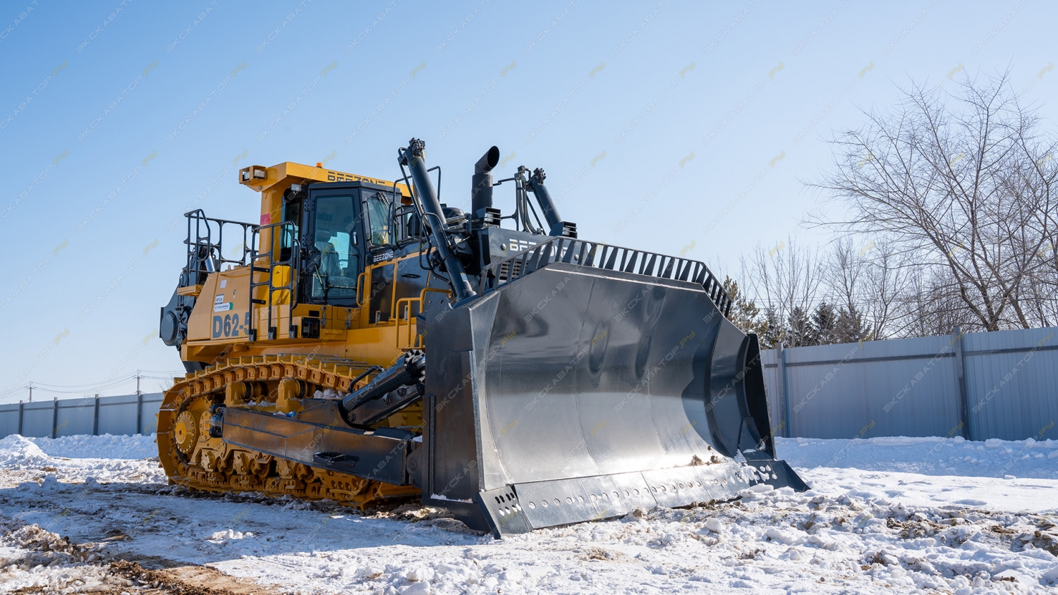 Beezone D62-5 [20]