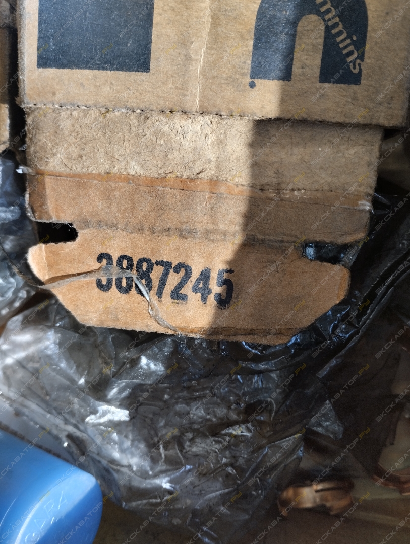 276 [1]
