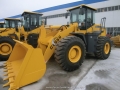 CL955 08-29 05:56:49