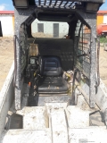Bobcat 553 [3]