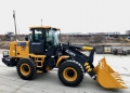 XCMG ZL30FV [10]