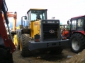 SDLG LG952H [1]
