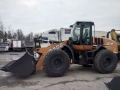 Case 821F [2]