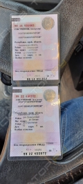 МАЗ 6501 [8]