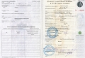 ДСТ-Урал ТГ20.32 BDF ГСТ [5]