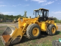 XG95511 [0]