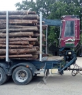 FH-16 550 [2]