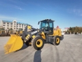 XCMG XC938 [3]