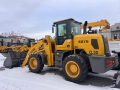 Yugong ZL30 [0]