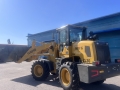 Yugong ZL30 [5]