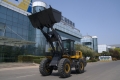 XCMG XC953 [6]
