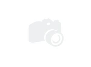 8332 [2]