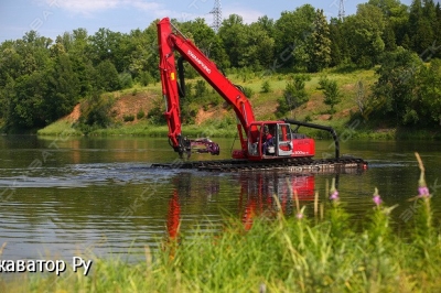 Swampking SK300SD [1]