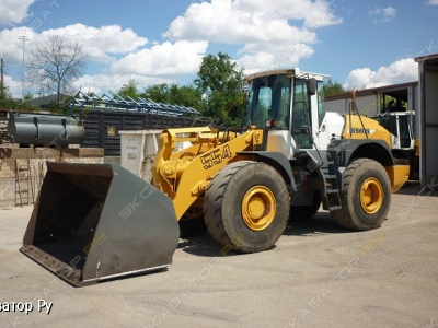 Liebherr L 554 [1]