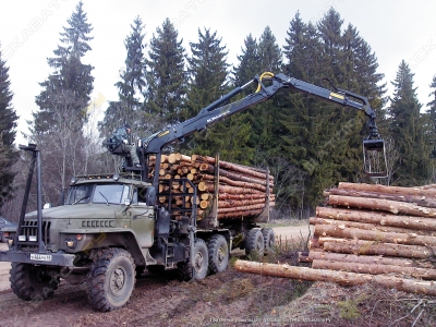 Гидроманипулятор для леса VM10L74 [2]