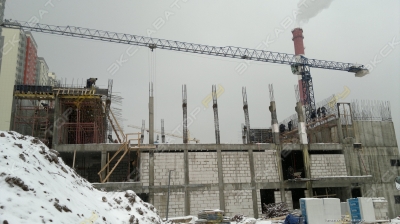 Linden Comansa 10 LC 140 8t [0]