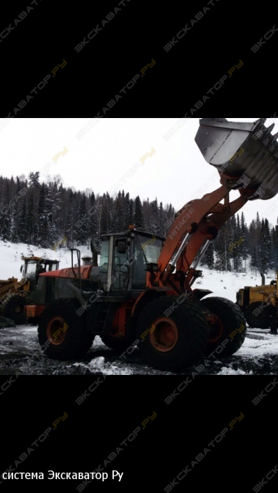 Hitachi ZW 310 [1]