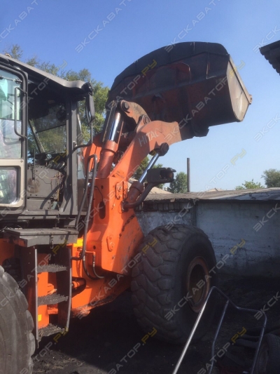 Hitachi ZW 310 [1]