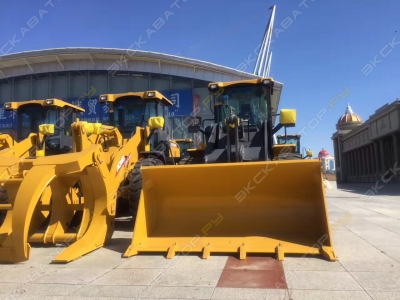 XCMG ZL30GV [0]