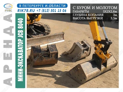 JCB 8040 [1]