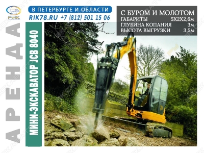 JCB 8040 [4]